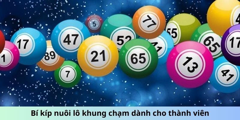 Bí kíp nuôi lô khung chạm dành cho thành viên