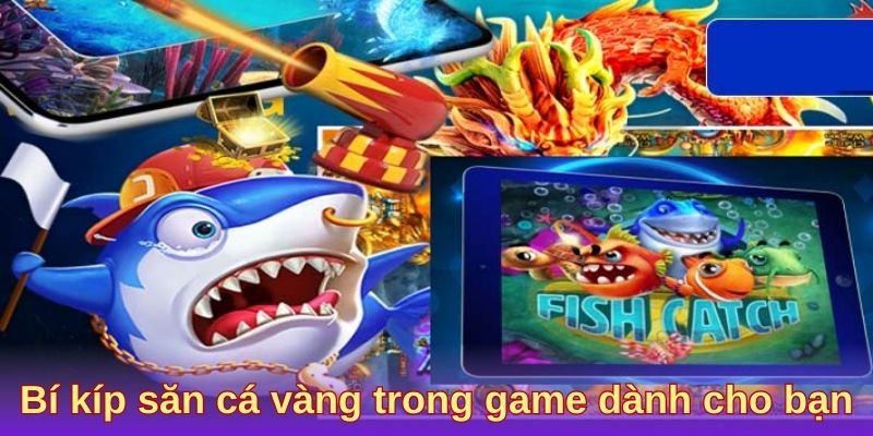 Bí kíp săn cá vàng trong game dành cho bạn