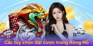 Các tùy chọn đặt cược trong Rồng Hổ