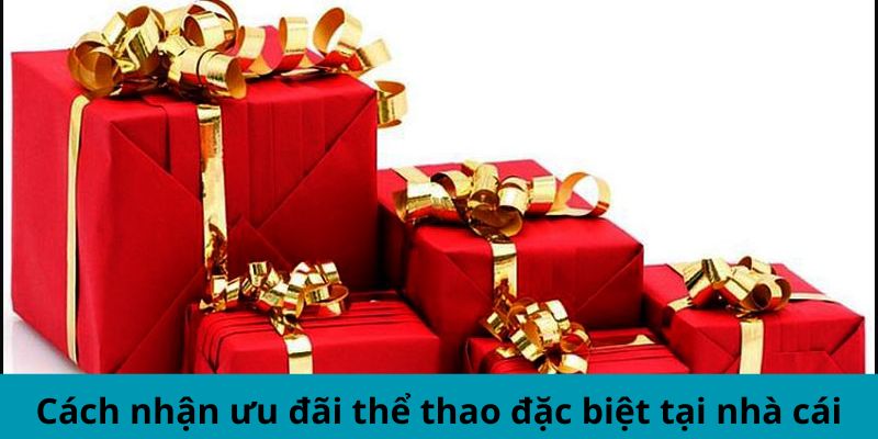 Cách nhận ưu đãi thể thao đặc biệt tại nhà cái