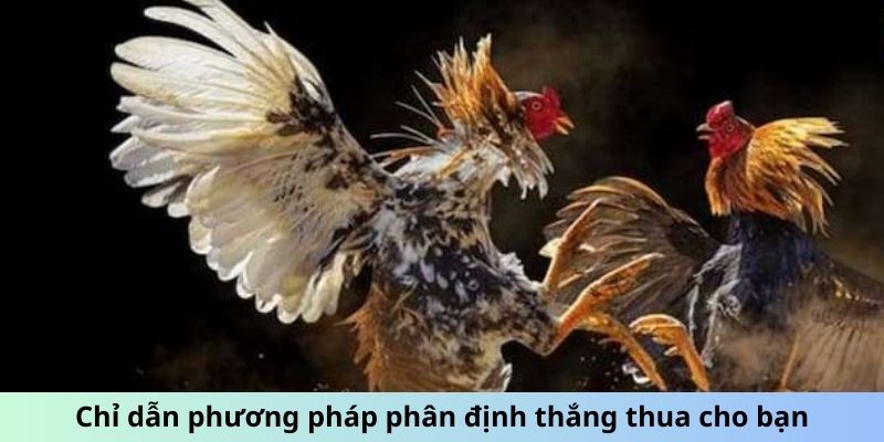 Chỉ dẫn phương pháp phân định thắng thua cho bạn