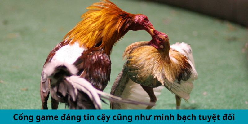 Cổng game đáng tin cậy cũng như minh bạch tuyệt đối