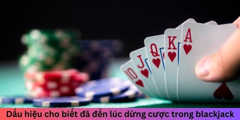 Dấu hiệu cho biết đã đến lúc dừng cược trong blackjack