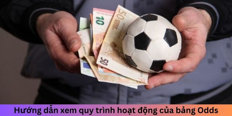 Hướng dẫn xem quy trình hoạt động của bảng Odds