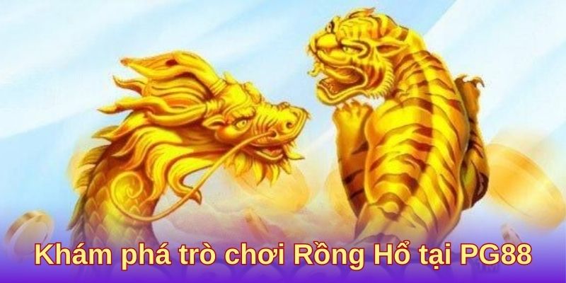 Khám phá trò chơi Rồng Hổ tại PG88