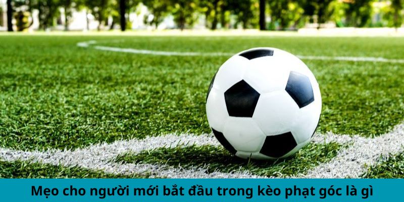 Mẹo cho người mới bắt đầu trong kèo phạt góc là gì