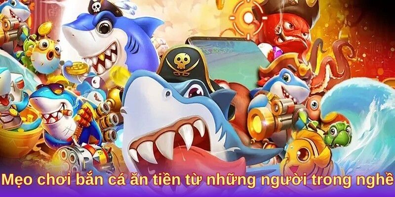 Mẹo chơi bắn cá ăn tiền từ những người trong nghề