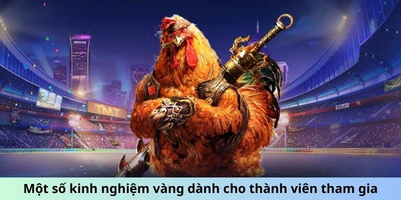 Một số kinh nghiệm vàng dành cho thành viên tham gia