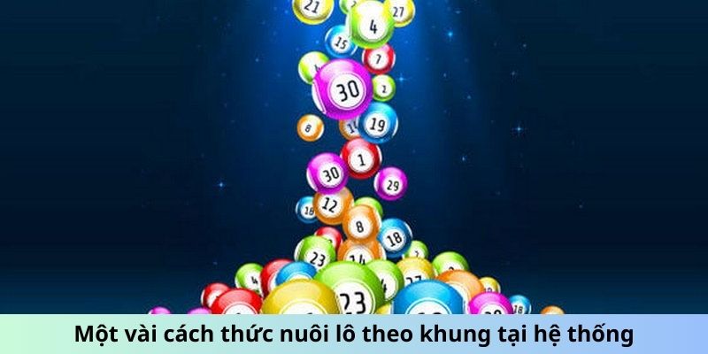 Một vài cách thức nuôi lô theo khung tại hệ thống