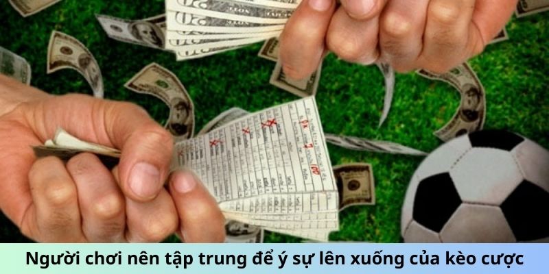 Người chơi nên tập trung để ý sự lên xuống của kèo cược