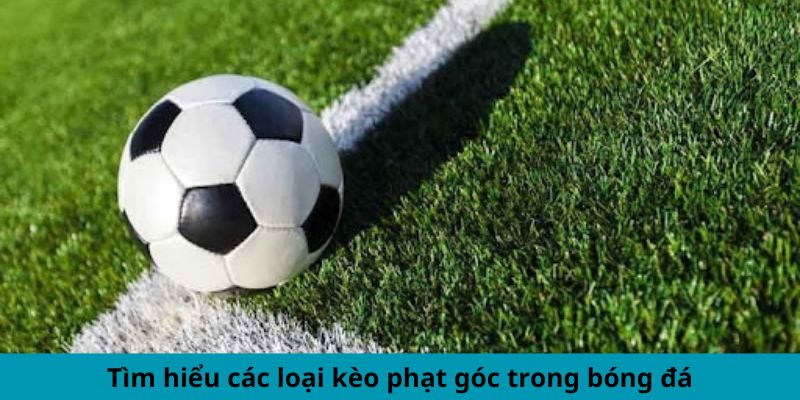 Tìm hiểu các loại kèo phạt góc trong bóng đá