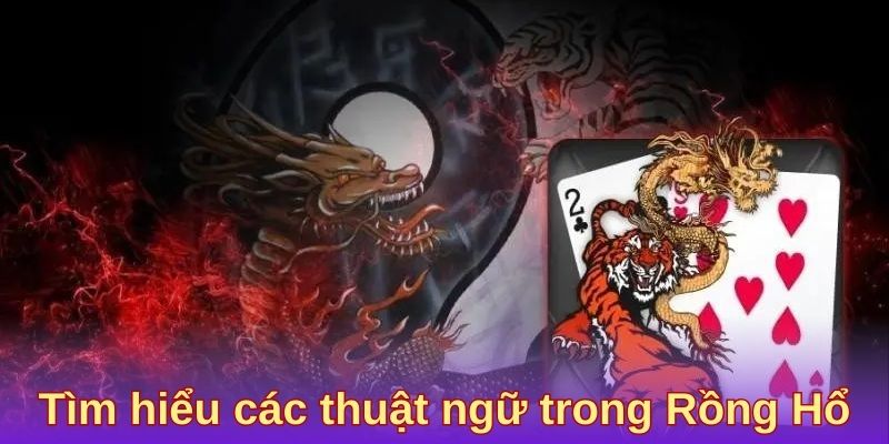 Các thuật ngữ đặc thù được sử dụng trong game