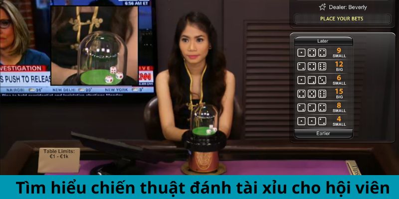 Tìm hiểu chiến thuật đánh tài xỉu cho hội viên