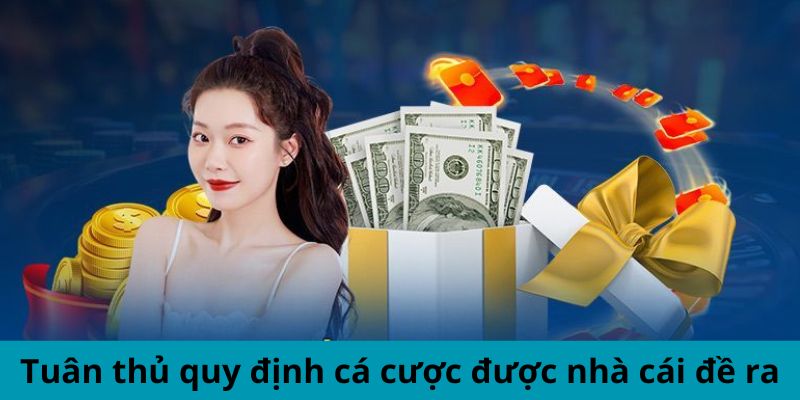 Tuân thủ quy định cá cược được nhà cái đề ra